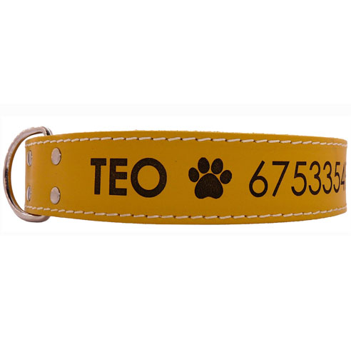 Collar Nylon Mediano Para Perro (M) – Personalizados Con Nombre Y Teléfono. Varios Colores